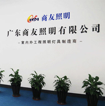 华体会(中国)|室内/户外工程照明,路灯,景观照明,工厂照明节能改造专家